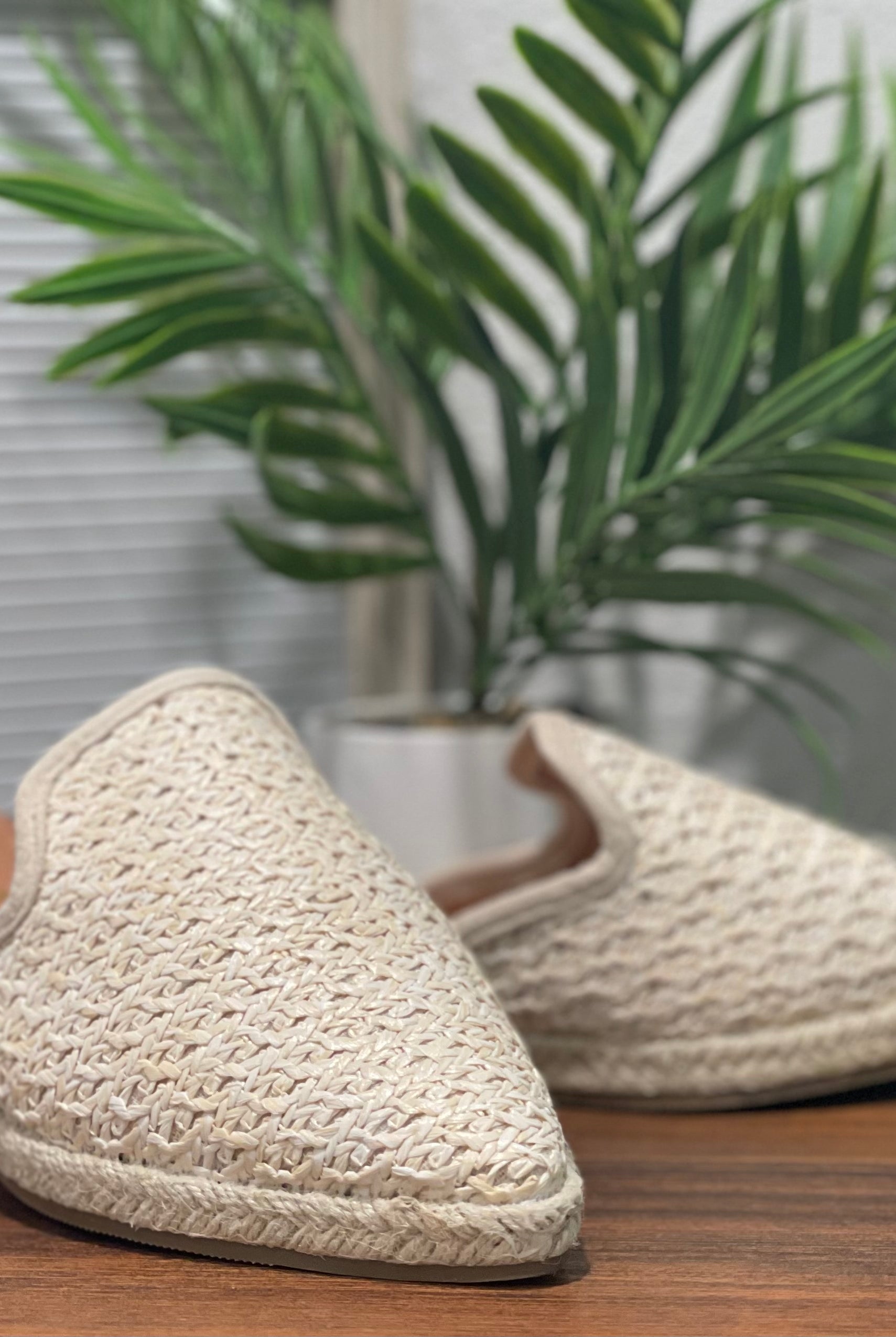 Ivy Woven Raffia Mule- Multiple Options-Slip-Ons-Ccocci- Annabelle-Anna Kaytes Boutique, Women's Fashion Boutique in Grinnell, Iowa