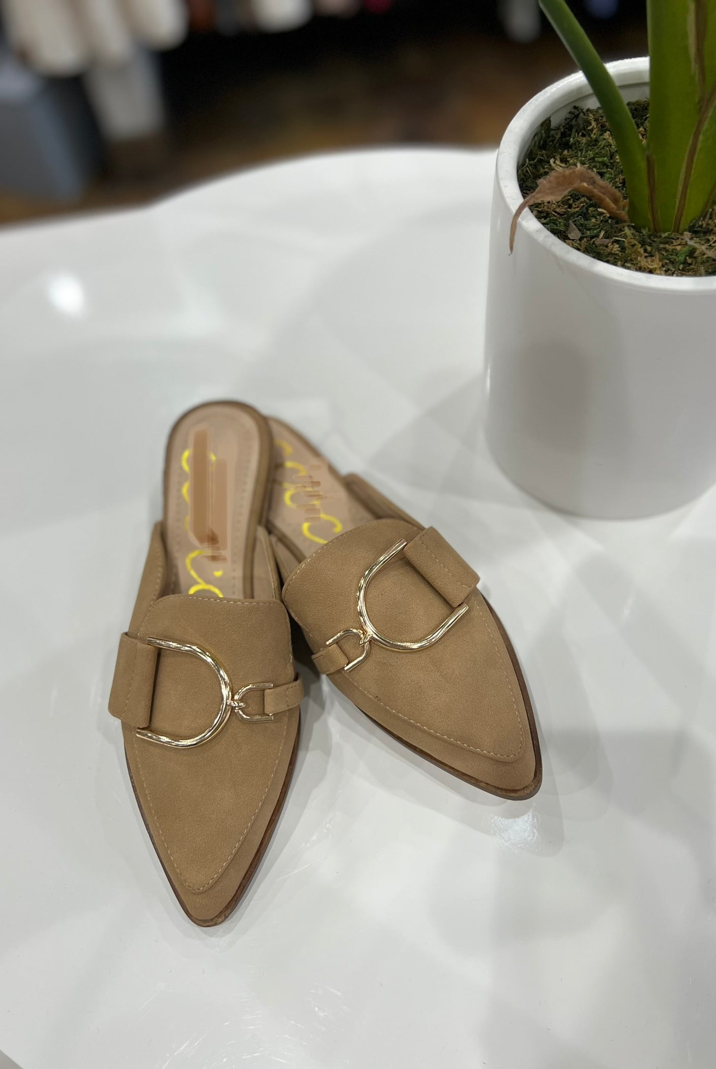 The Campbell Mule- Multiple Options-Slip-Ons-Ccocci-Anna Kaytes Boutique, Women's Fashion Boutique in Grinnell, Iowa