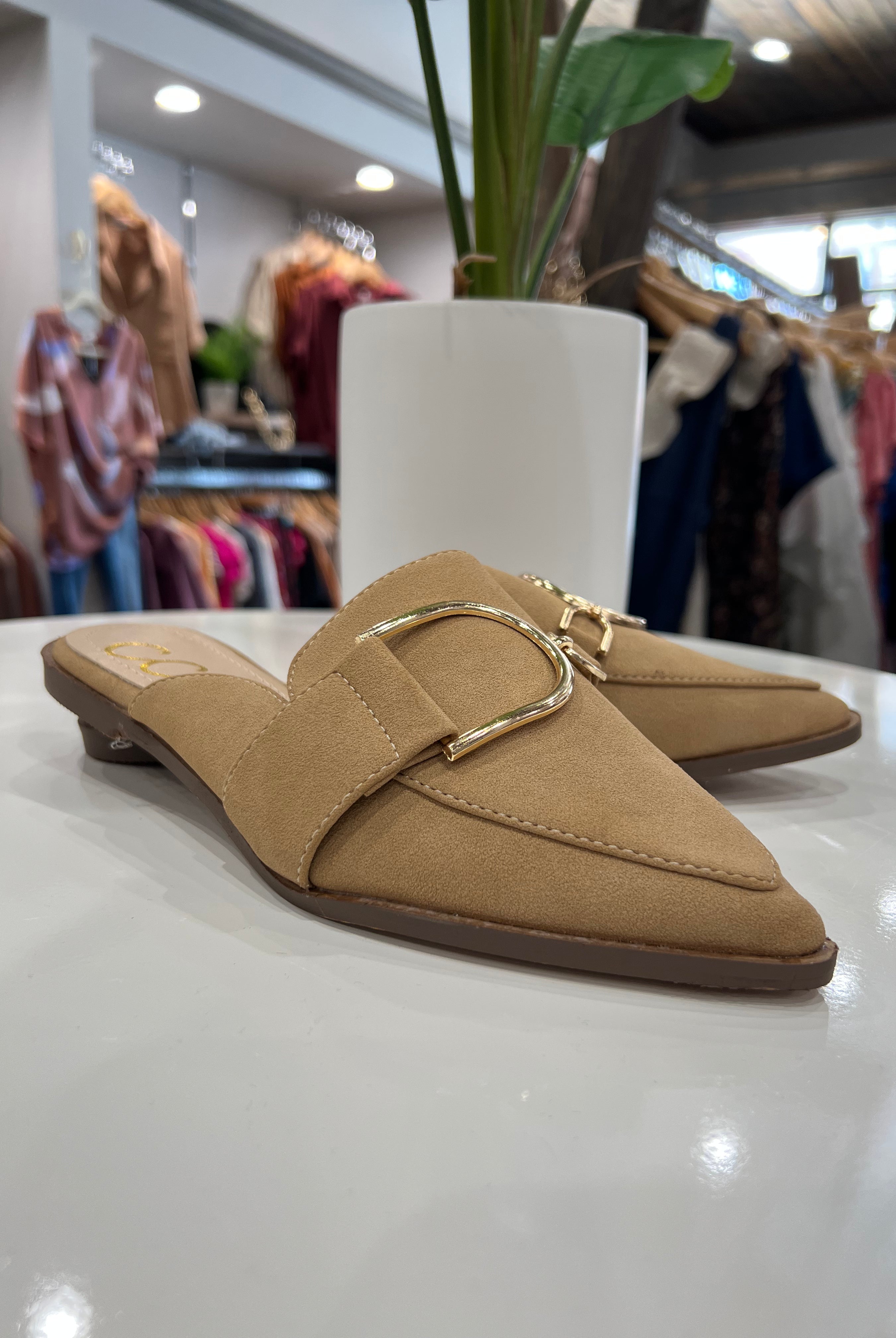 The Campbell Mule- Multiple Options-Slip-Ons-Ccocci-Anna Kaytes Boutique, Women's Fashion Boutique in Grinnell, Iowa