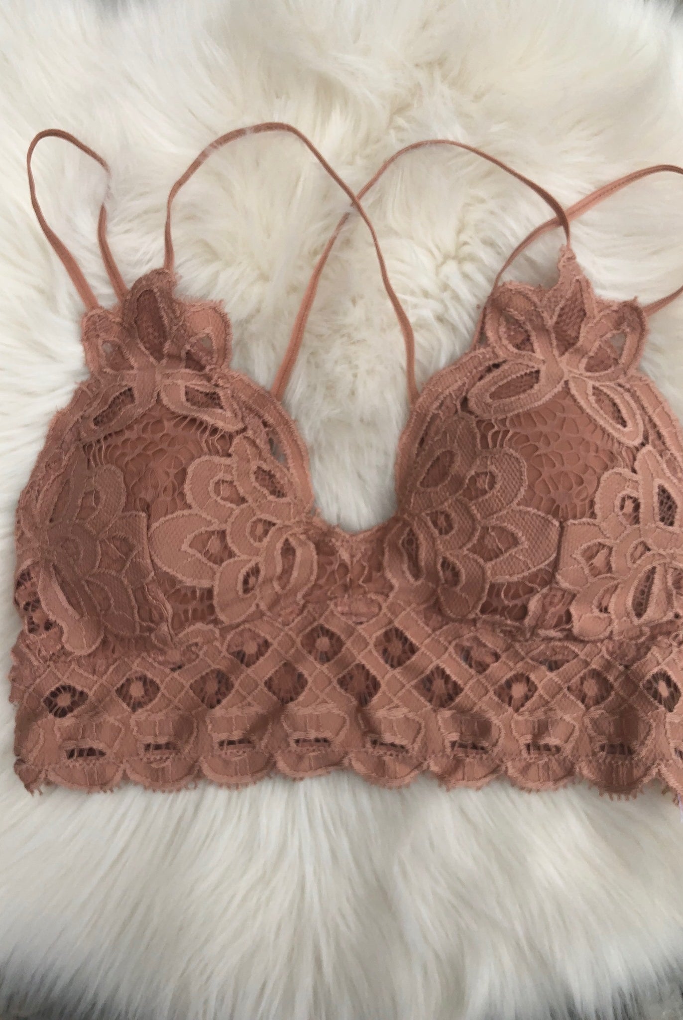 Bewitched Scalloped Bralette- Multiple Options-Bralettes-Anemone-Anna Kaytes Boutique, Women's Fashion Boutique in Grinnell, Iowa