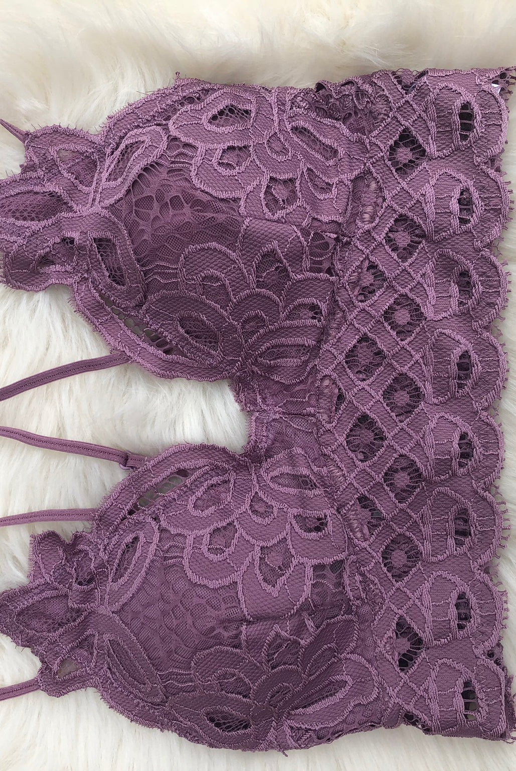 Bewitched Scalloped Bralette- Multiple Options-Bralettes-Anemone-Anna Kaytes Boutique, Women's Fashion Boutique in Grinnell, Iowa