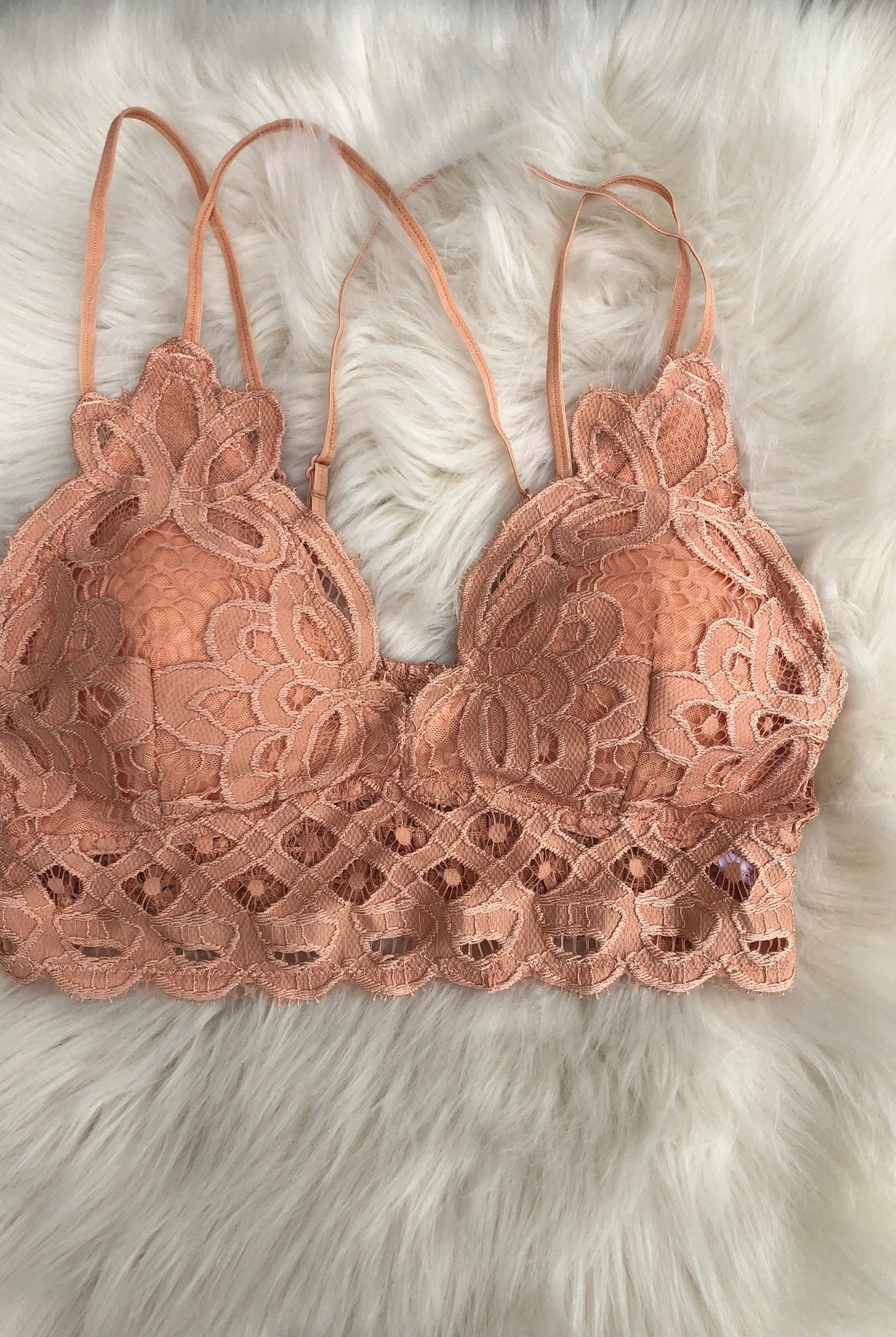 Bewitched Scalloped Bralette- Multiple Options-Bralettes-Anemone-Anna Kaytes Boutique, Women's Fashion Boutique in Grinnell, Iowa