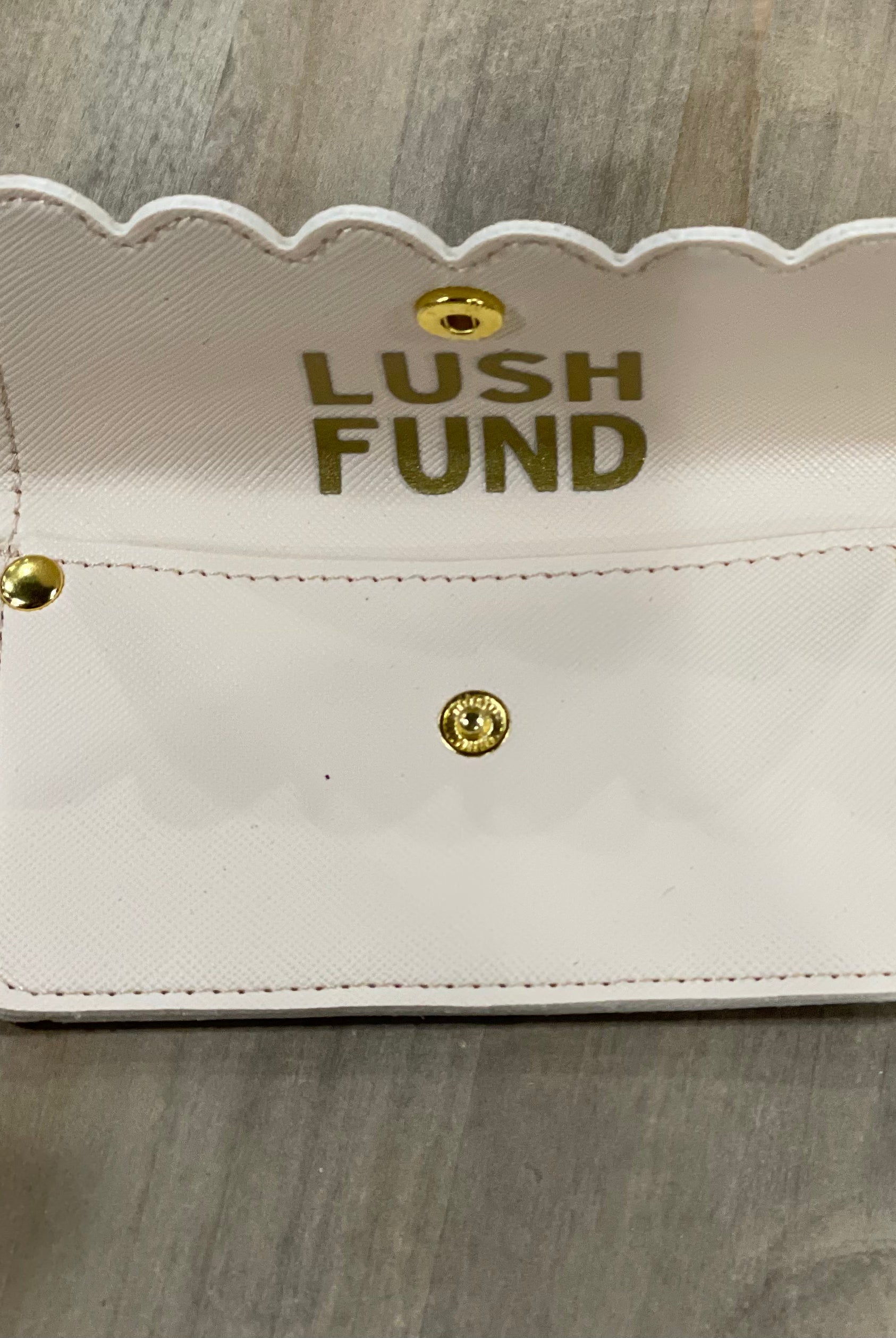 Lush Fund Credit Card Pouch-Handbags-Creative Brands- G2575-Anna Kaytes Boutique, Women's Fashion Boutique in Grinnell, Iowa