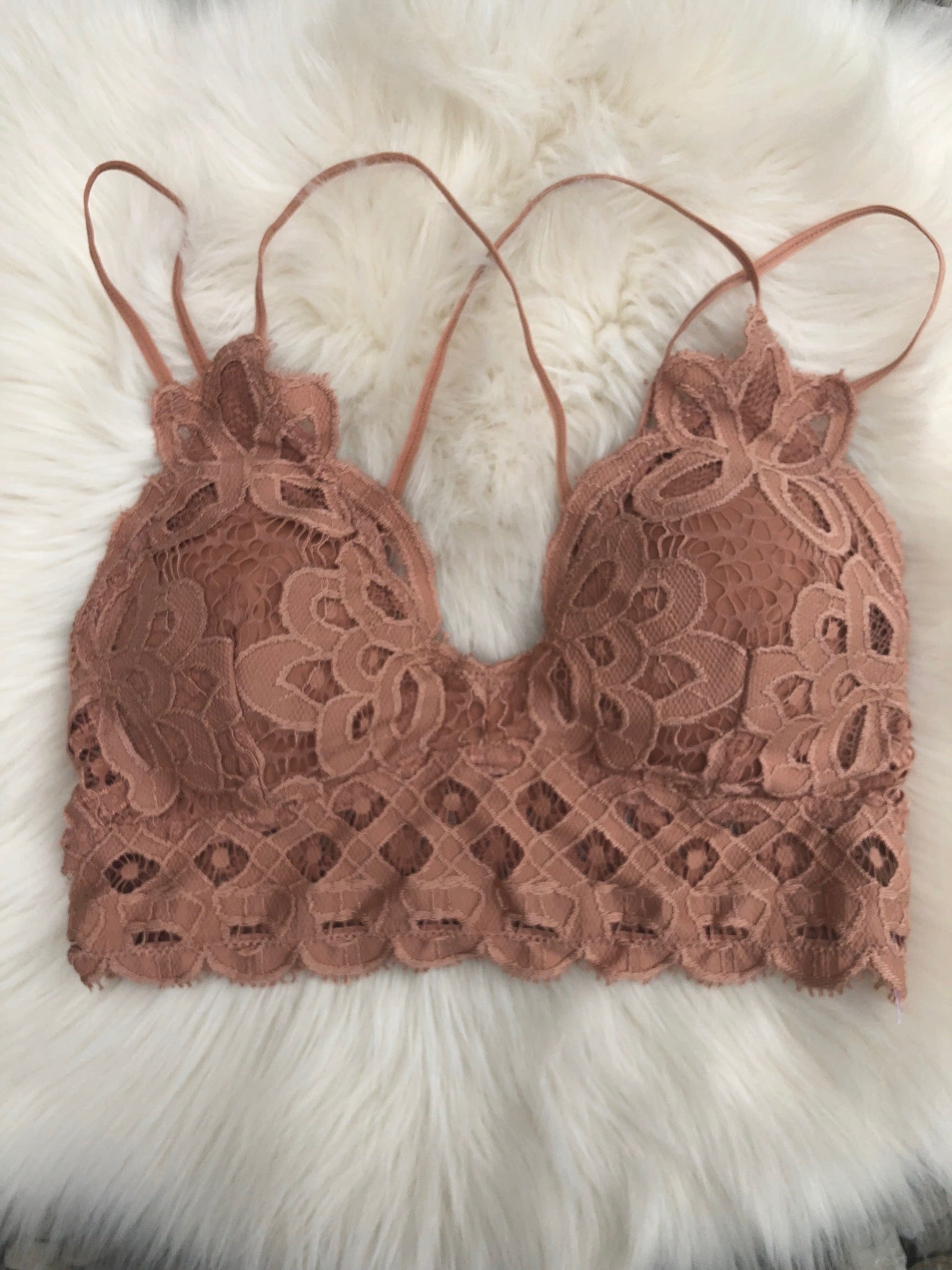 Bewitched Scalloped Bralette- Multiple Options